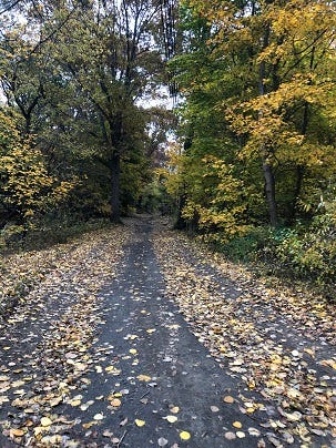Bike Path Bike Path