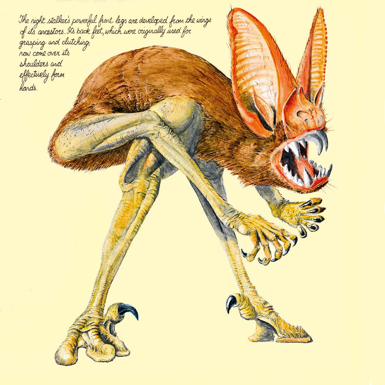 After Man: A Zoology of the Future by Dougal Dixon — Breakdown Press