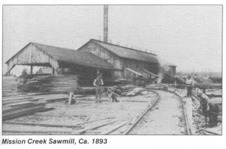 minnesota sawmill minnesota sawmill