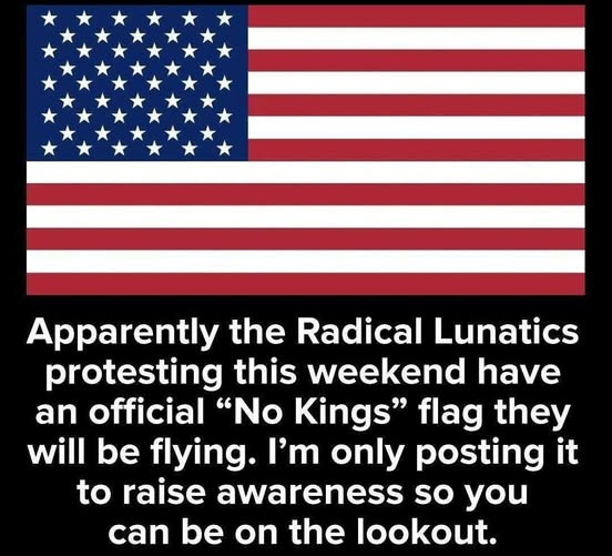 May be an image of text that says "Apparently the Radical Lunatics protesting this weekend have an official "No Kings" flag they will be flying. I'm only posting it to raise awareness so you can be On the lookout."
