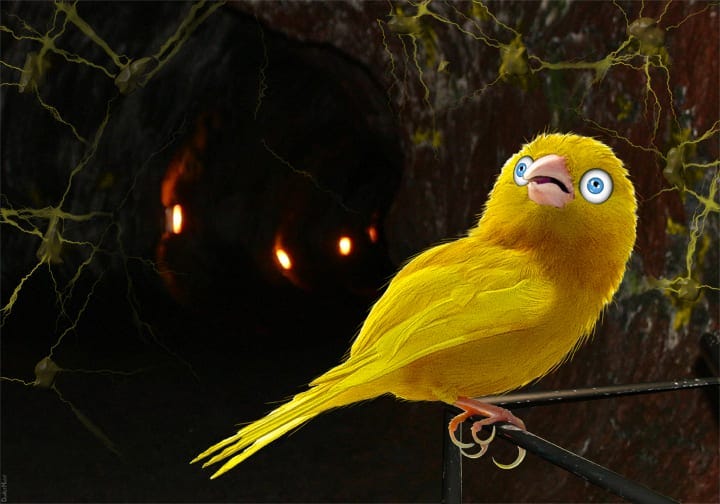 What Will You Accept As Being The Canary In The Coal Mine For The  Environment? | Henry Karlson