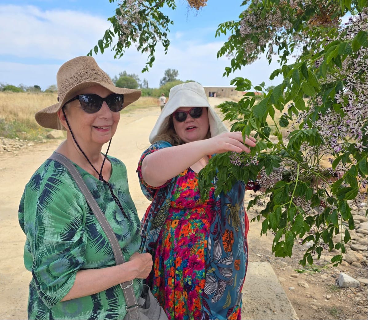 Two women in summer clothes wearing hats and sunglasses look towards the camera and enjoy the scent from a flowering shrub on the island of Cyprus.
