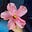 Ghada's avatar
