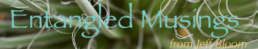 Entangled Musings 