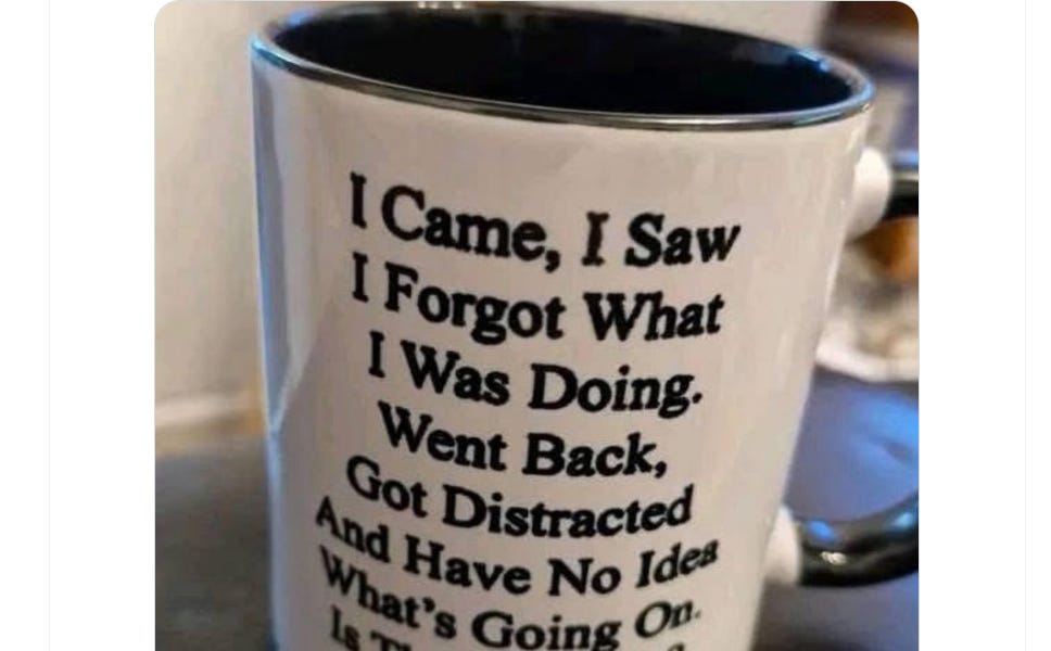 Homesteading: Organizing Hearth, Home, and the Homestead