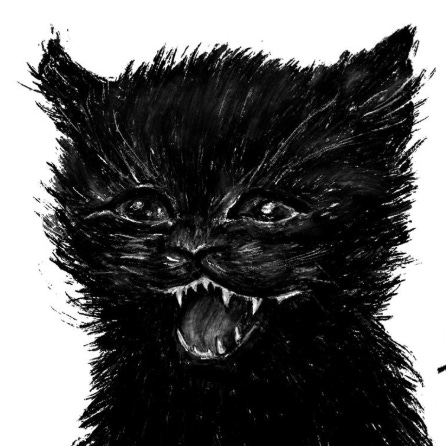 tudo é divino e maravilhoso