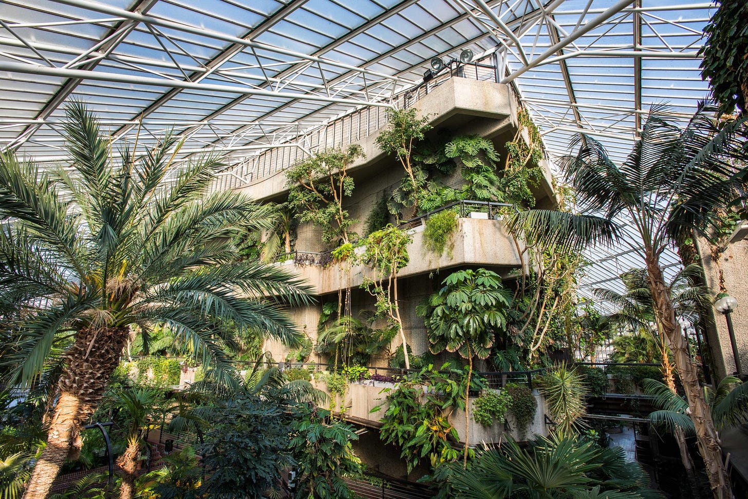 Visit the Conservatory | Barbican Visit the Conservatory | Barbican