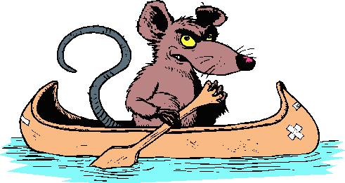Hello Sailor (ship rat intro. page)