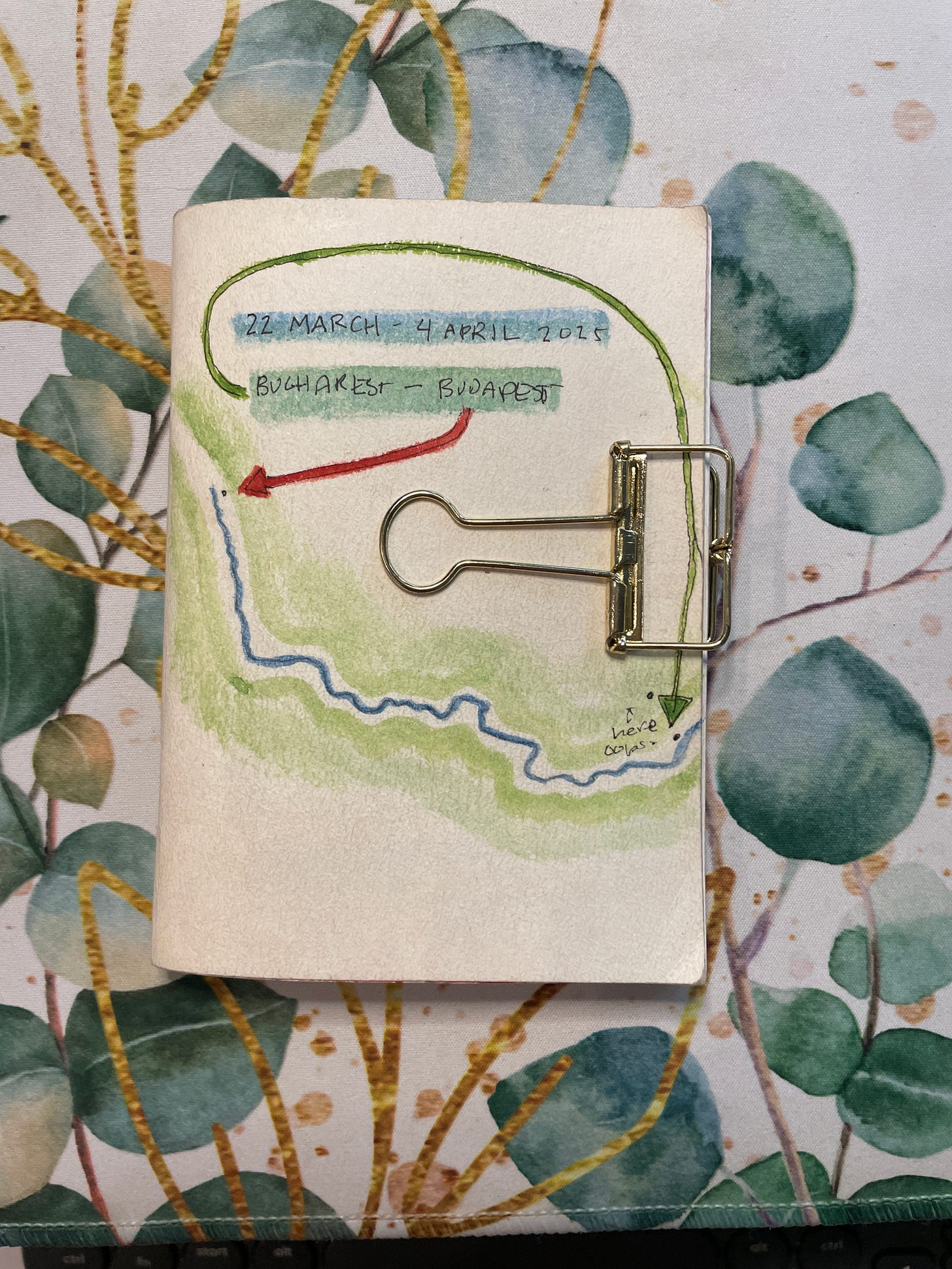 Cover of notebook. It's a blue squiggly line with a green border and two arrows pointing out start and stop locations.