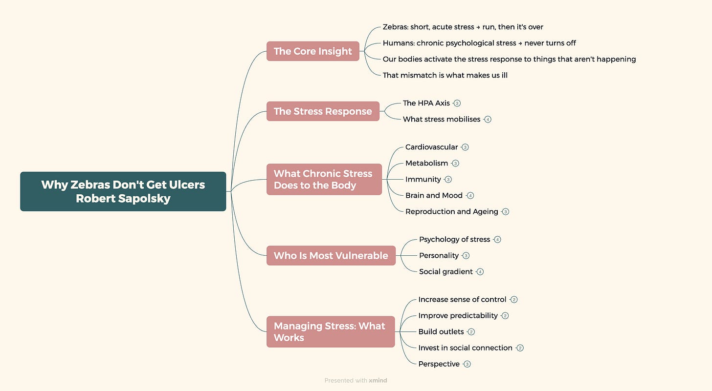 Mindmap of Why Zebras Don't Get Ulcers by Robert Sapolsky, showing five branches: the core insight (zebras vs humans), the stress response (HPA axis), what chronic stress does to the body (cardiovascular, metabolic, immune, brain, reproduction), who is most vulnerable (psychology, personality, social gradient), and managing stress.