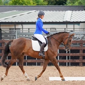 Hot competition at penultimate leg of Hagans Croft Dressage League