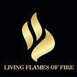 Living Flames Of Fire's avatar
