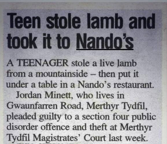 This may contain: a newspaper clipping with an article about the ten stone lamp and took it to nando's This may contain: a newspaper clipping with an article about the ten stone lamp and took it to nando's