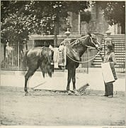 File:The photographic history of the Civil War - thousands of scenes photographed 1861-65, with text by many special authorities (1911) (14762937285).jpg