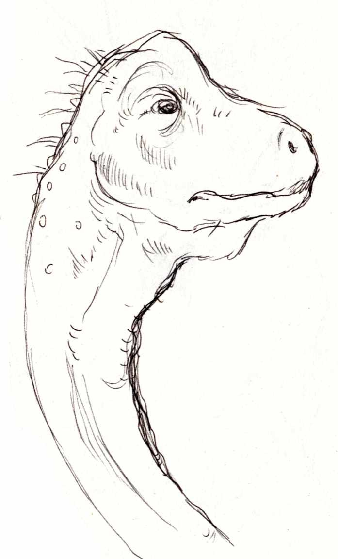 Ink sketch of a sauropod head and partial neck.