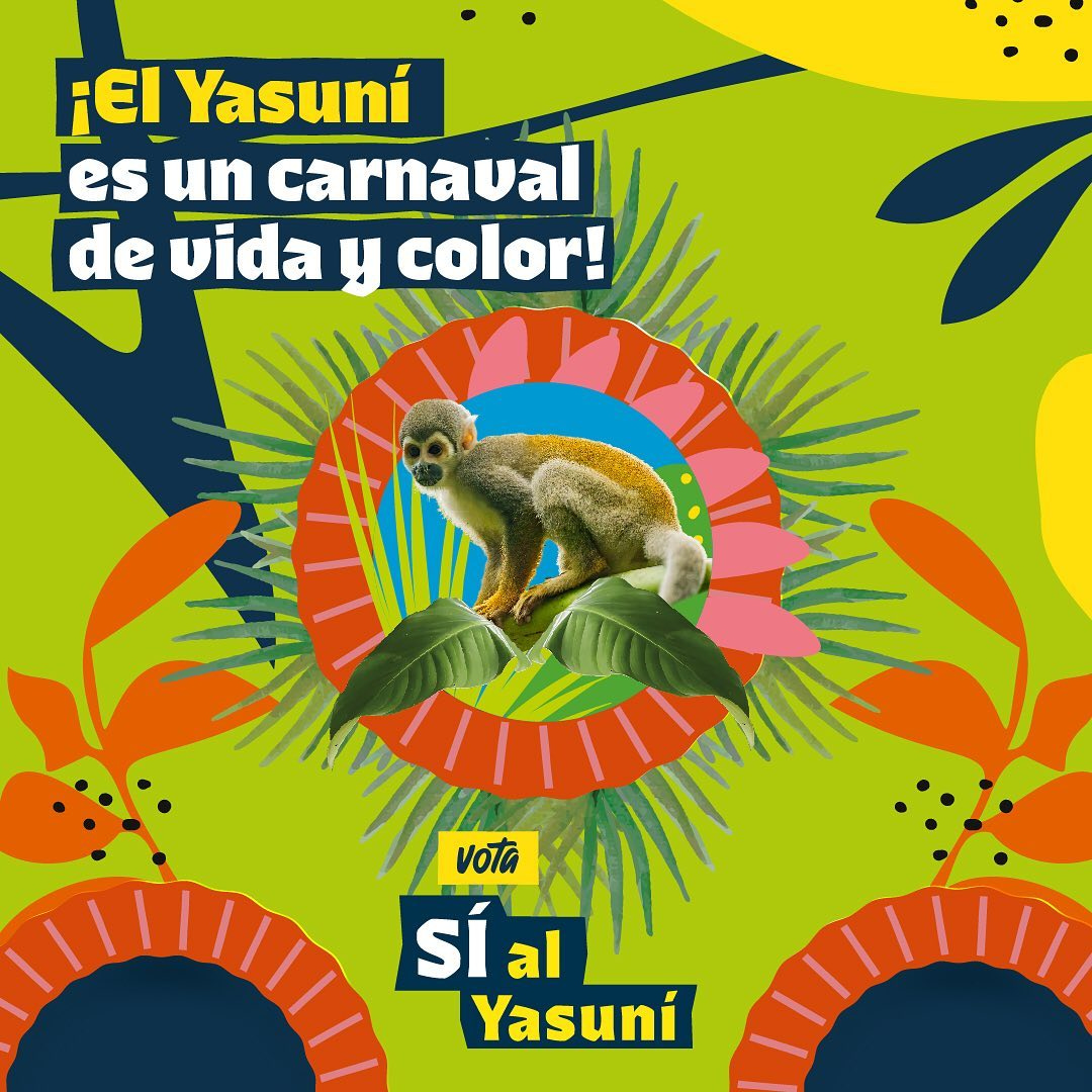 May be an image of slow loris and text that says '¡El Yasuni es un carnaval de vida y color! vota SÍ al al Yasuni'