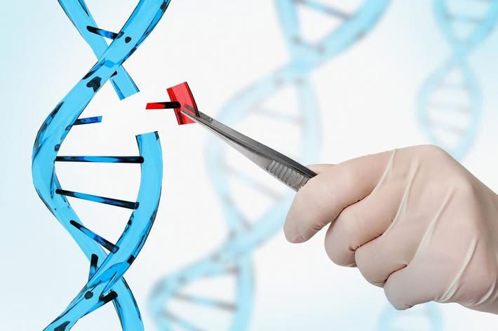 7 Things Everyone Needs To Know About Gene Editing