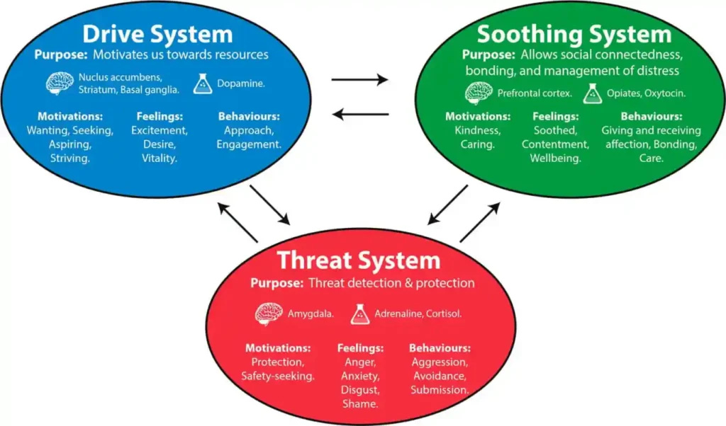 The three circles: Threat, Drive & Soothe - Natalie's Blog