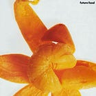 An Ode to the Supermodels of My Grocery Haul