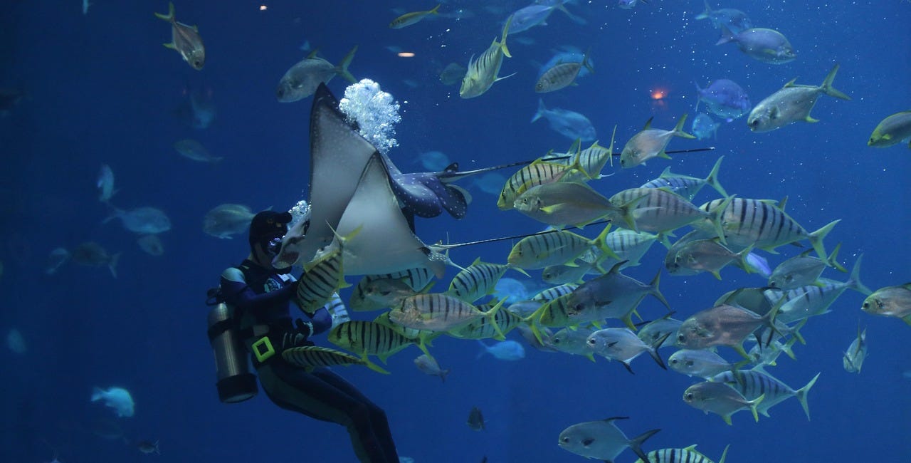 Chapter 7A: The Kingdom of Animals - Fish and Amphibians