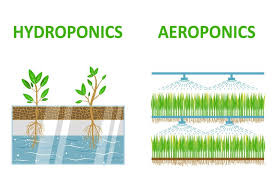 Aeroponics Vs. Hydroponics: What's The Difference? And Which Is Better?