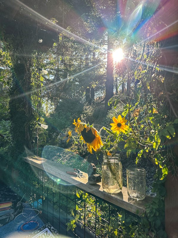 My Everyday Life Week 36 of 2025- Tracy Benjamin of Shutterbean.com