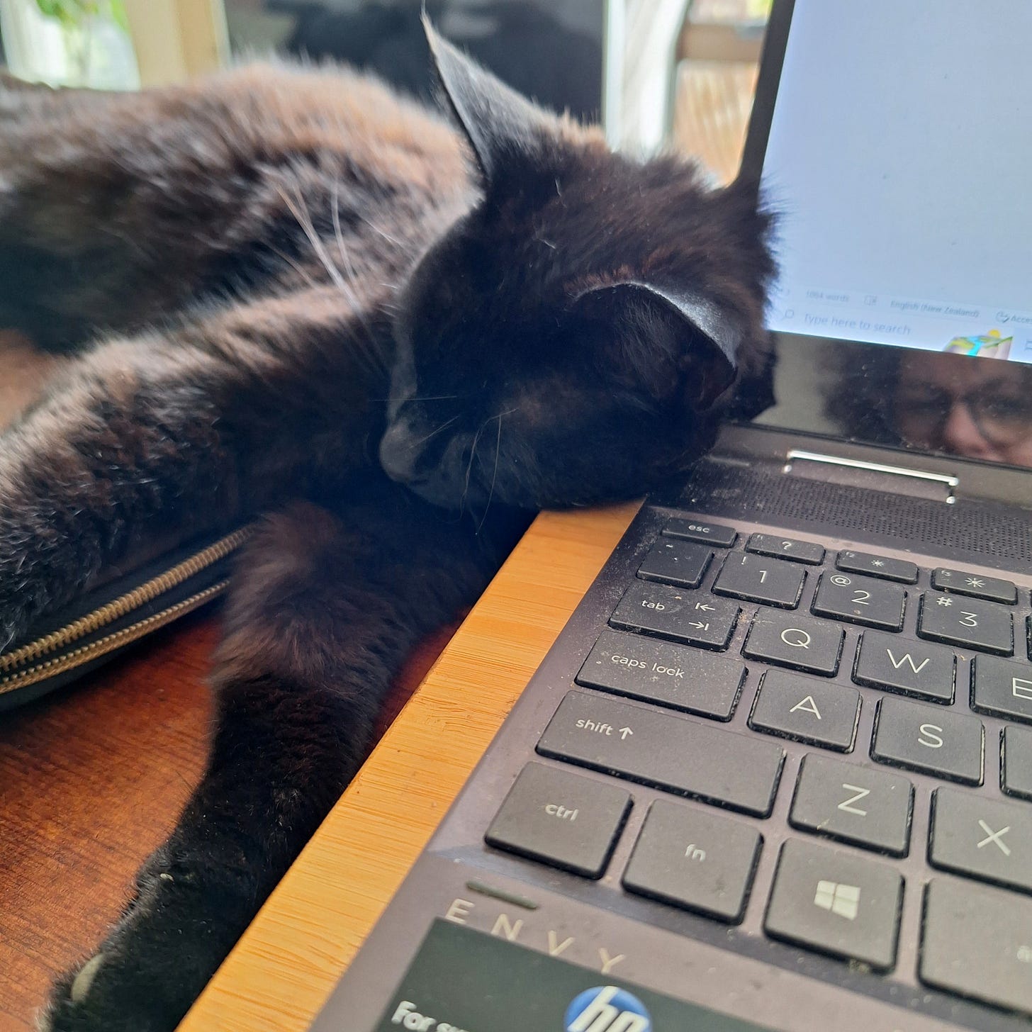 A young black cat is sleeping with it's head on the laptop stand as Janelle works. A young black cat is sleeping with it's head on the laptop stand as Janelle works.