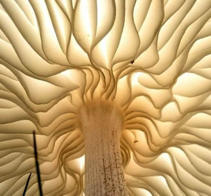 Welcome to ❊ VIRGO SEASON