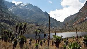 Rwenzori Mountains: Africa's surreal 'Mountains of the Moon'