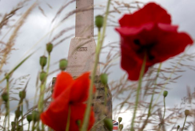 Red poppies in the foreground with a large tombstone in the background.