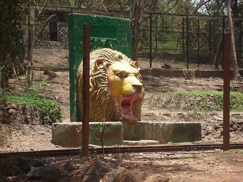 Lion Lion