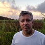 Stephen J Senatori's avatar