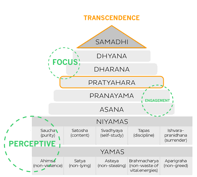 The Brain: As It Is And Beyond – MAYI Yoga Academy