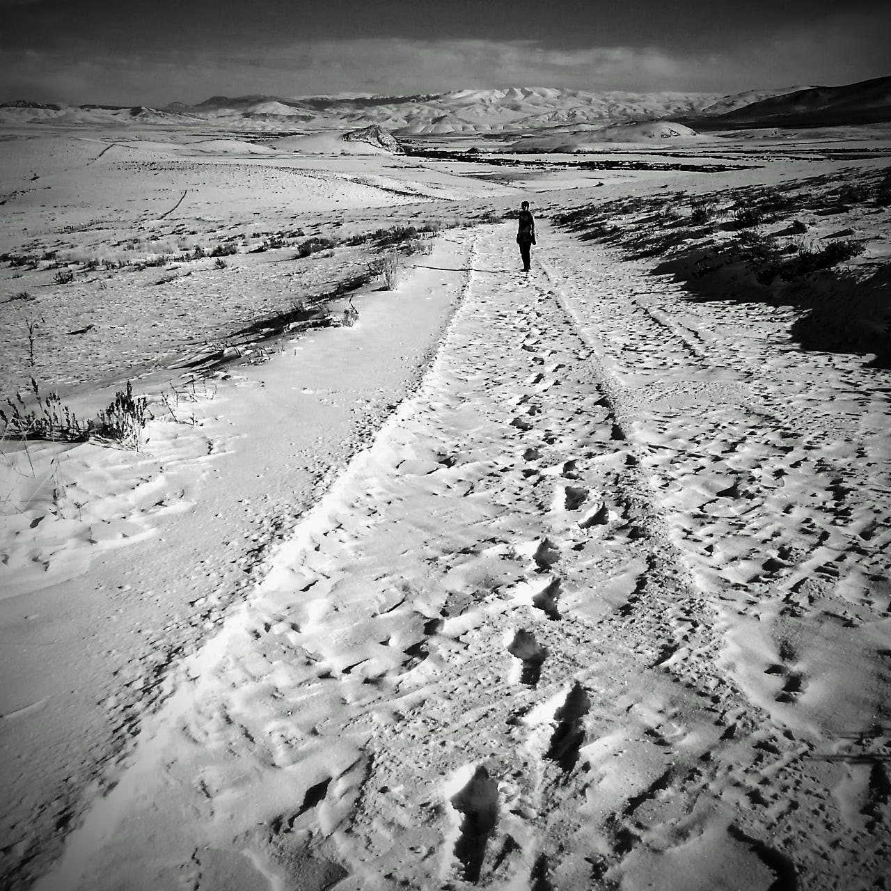 First Day Of 2017 @ Horse Prairie Station First Day Of 2017 @ Horse Prairie Station
