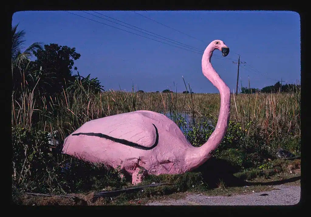 A bright pink flamingo sculpture in the swampy overgrowth along a roadside. A bright pink flamingo sculpture in the swampy overgrowth along a roadside.