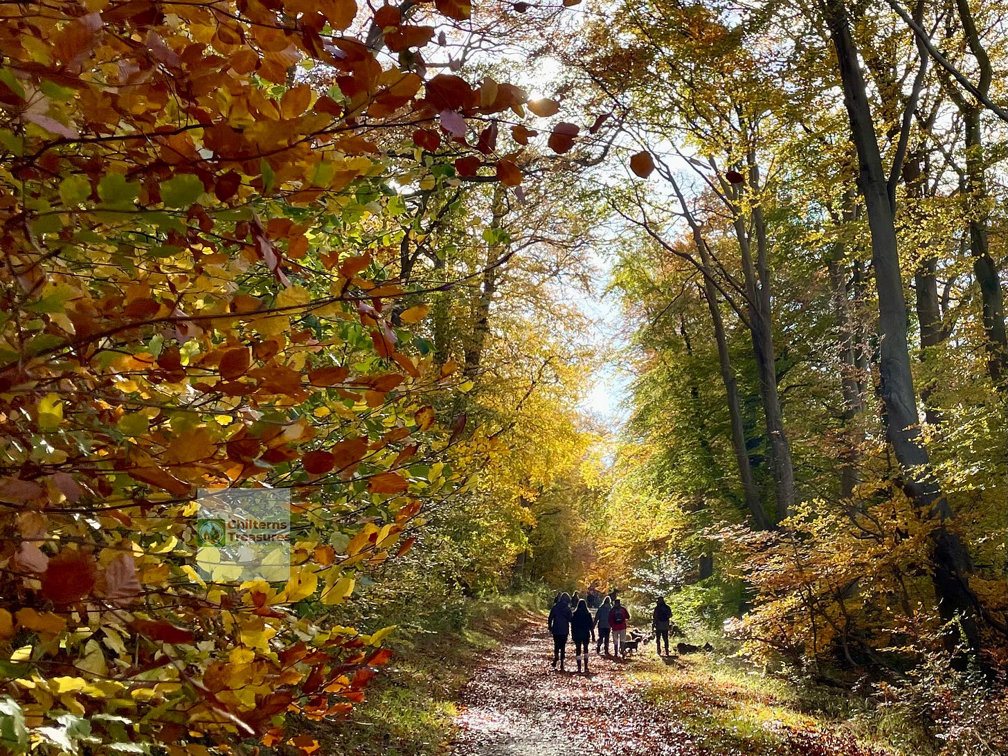 Walkers on the Ashridge boundary trail