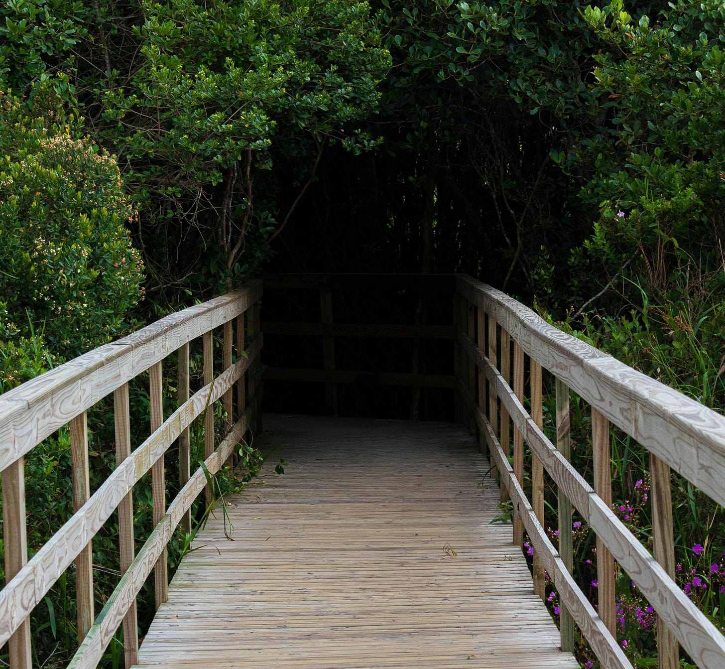 People are waiting for the bridge. Build the one they're looking for. Photo: Pexels
