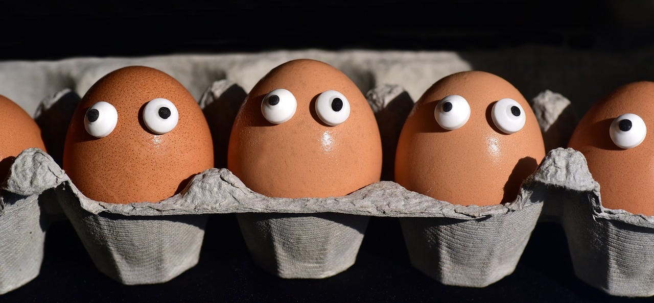 egg  egg box  egg carton free photo