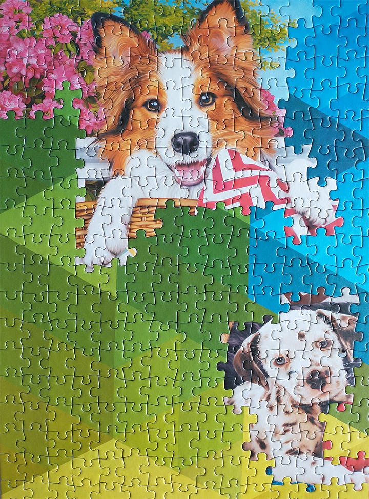 Trefl Doggy Friendship and Cubic Gradient Puzzle Pics