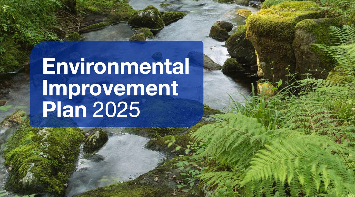 Cover page from the Environmental Improvement plan with a stream and greenery