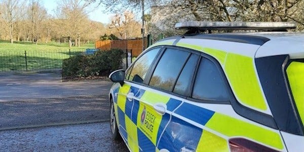 Police car at park area in Uppermayne, Basildon