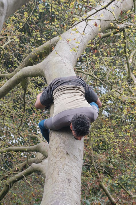 Treeverse Workshop in Hamstead Heath