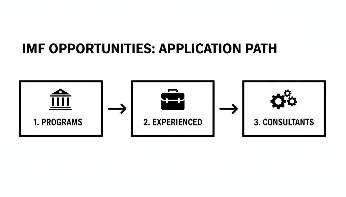 A flowchart illustrating the IMF application path with three stages: Programs, Experienced, and Consultants.