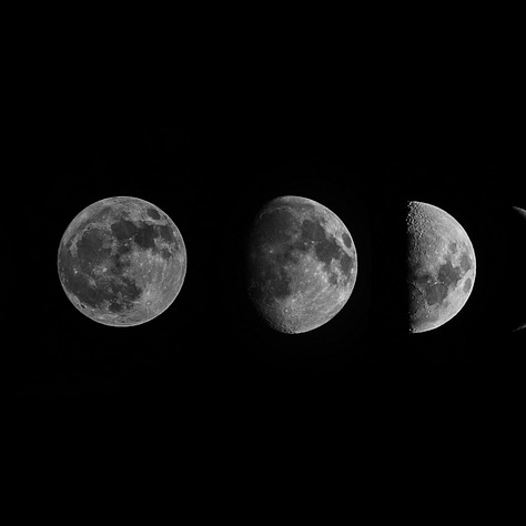 the moon phases