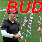 Arizona Cardinals Safety Pressure Cut-Up