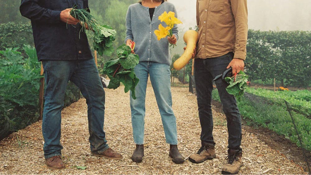Three people with veg Three people with veg