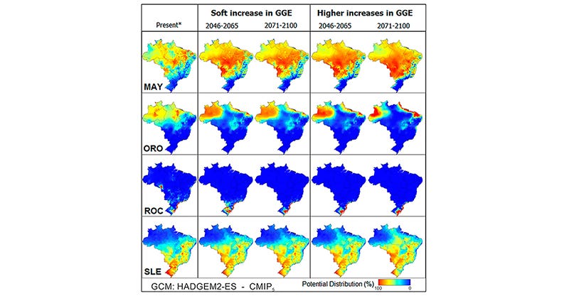 Ilustração mostra uma série de mapas produzidos pelo IBGE