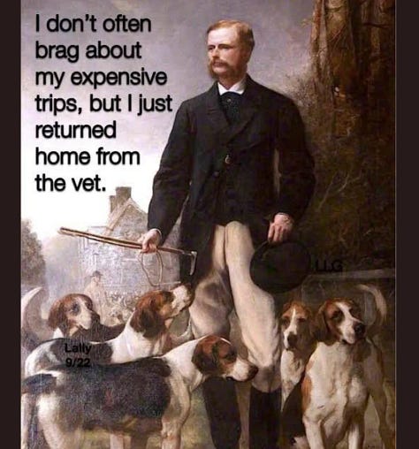 Day Brighteners (or not)