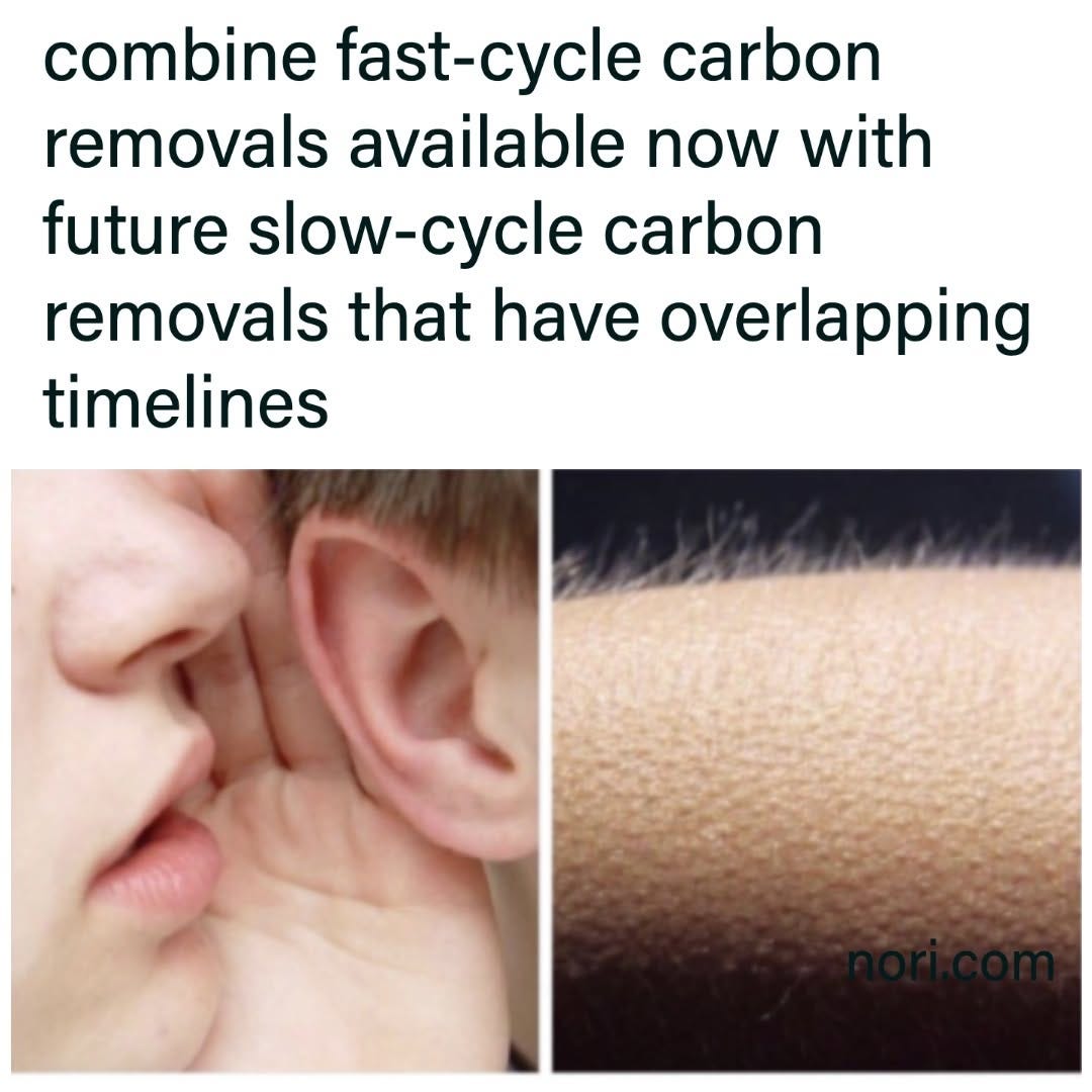 A person whispering into an ear, then a close-up of skin with goosebumps. Text: "combine fast-cycle carbon removals available now with future slow-cycle carbon removals that have overlapping timelines".