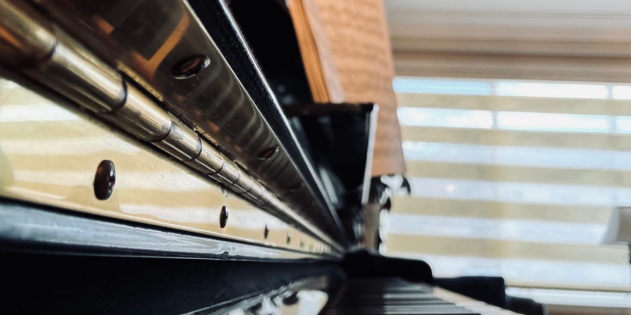 I see music everywhere